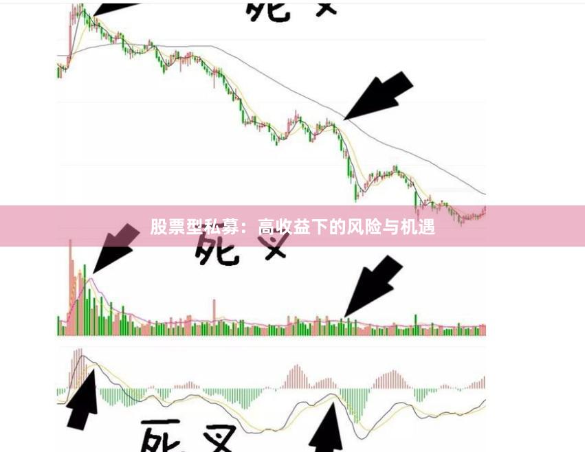 股票型私募：高收益下的风险与机遇
